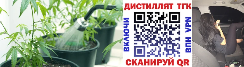 ТГК Wax  цена наркотик  ссылка на мегу ТОР  Новоузенск 